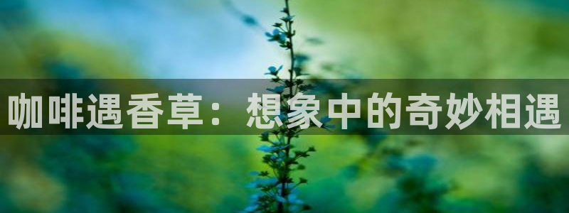 羞羞漫画网站免：咖啡遇香草：想象中的奇妙相遇
